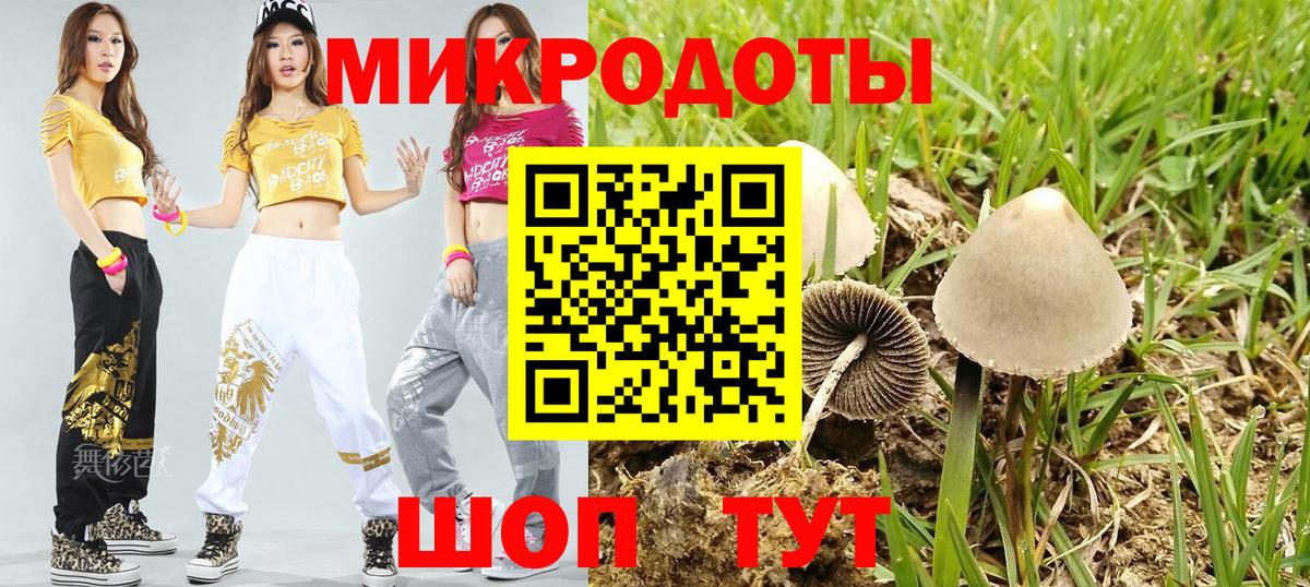 Псилоцибиновые грибы GOLDEN TEACHER  Вход с VPN  Отрадный  Псилоцибиновые грибы Psilocybe 
