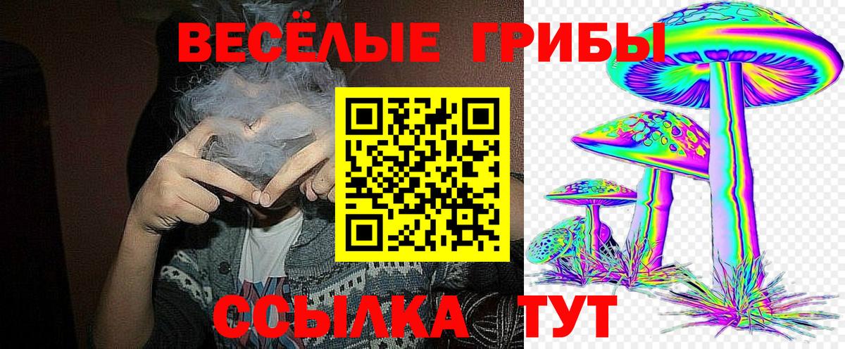 Псилоцибиновые грибы Psilocybine cubensis Отрадный