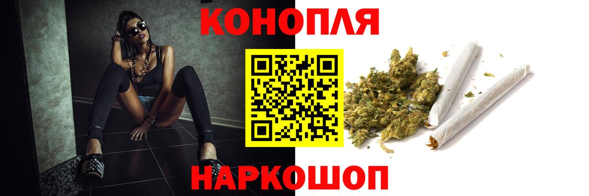 Канабис сатива Отрадный
